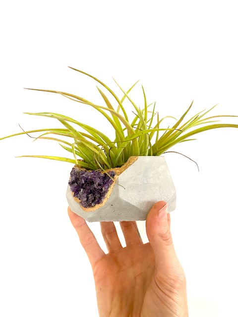 Amethyst Crystal Concrete Planter with Air Plant - Hexagon picture