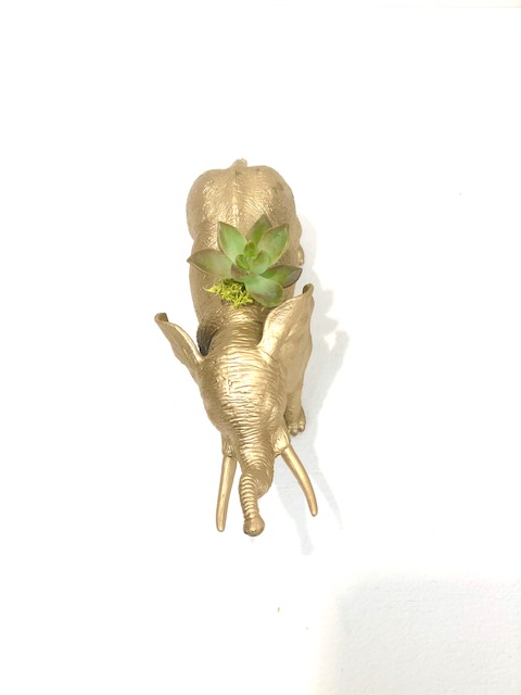 Gold Elephant Succulent Planter picture