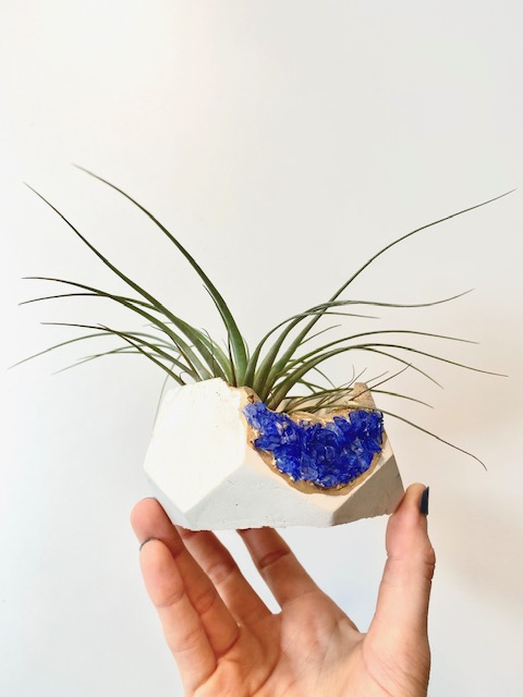 White Geode Planter with Blue Gemstones with Air Plant - Hexagon picture