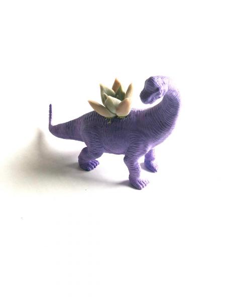 Dinosaur Planter with Succulent picture