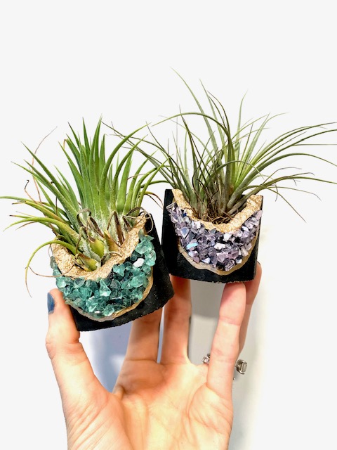 Black Geode Planter with Green Gemstones and Air Plant - Octagon picture