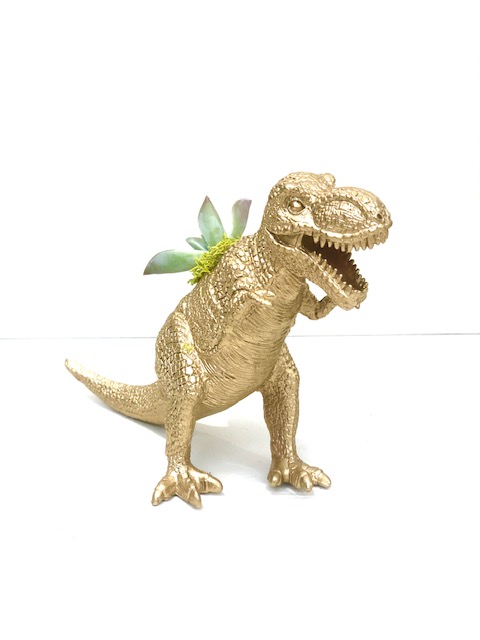 Dinosaur Planter with Succulent picture