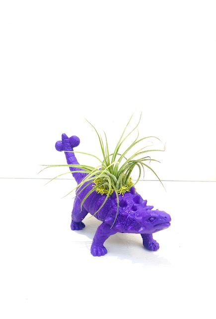 Dinosaur Planter with Air Plant - Stegosaurus picture