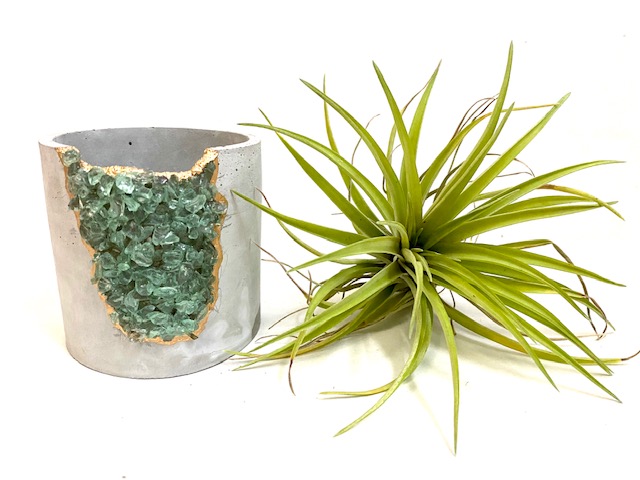 Green Gemstone Concrete Planter with Air Plant - Large Round picture