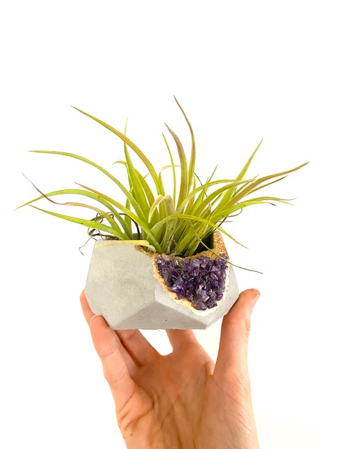 Amethyst Crystal Concrete Planter with Air Plant - Hexagon picture