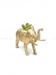 Gold Elephant Succulent Planter