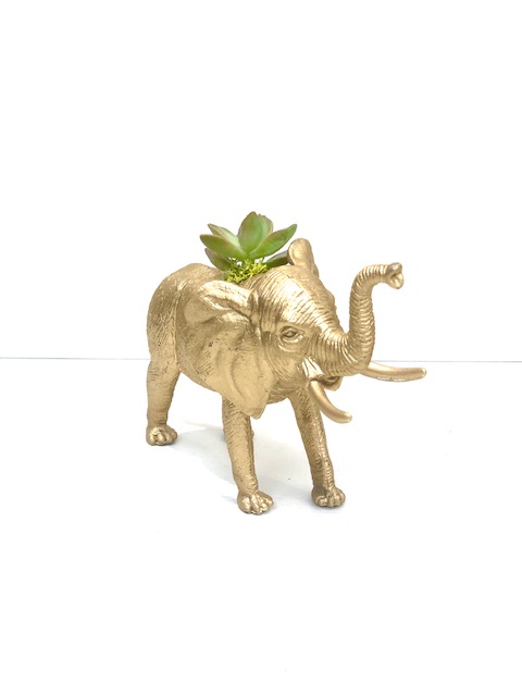 Gold Elephant Succulent Planter picture