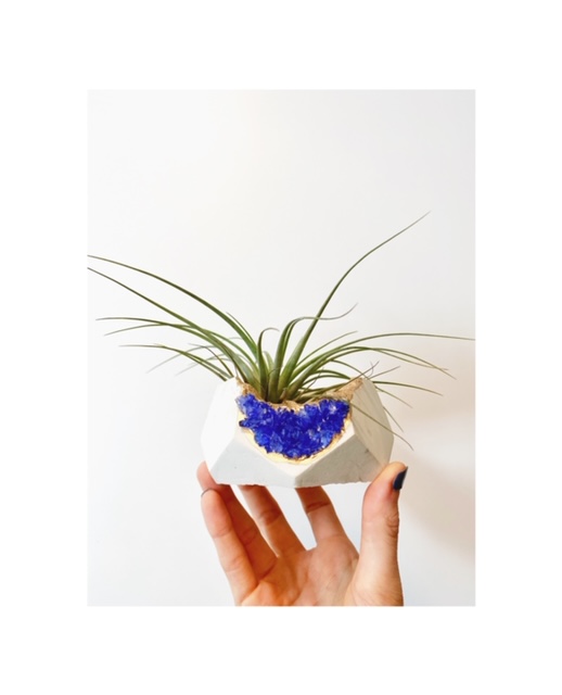 White Geode Planter with Blue Gemstones with Air Plant - Hexagon picture