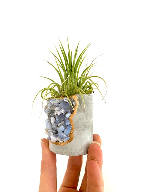 Blue Lace Agate Crystal Geode Concrete Planter with Air Plant - Round picture