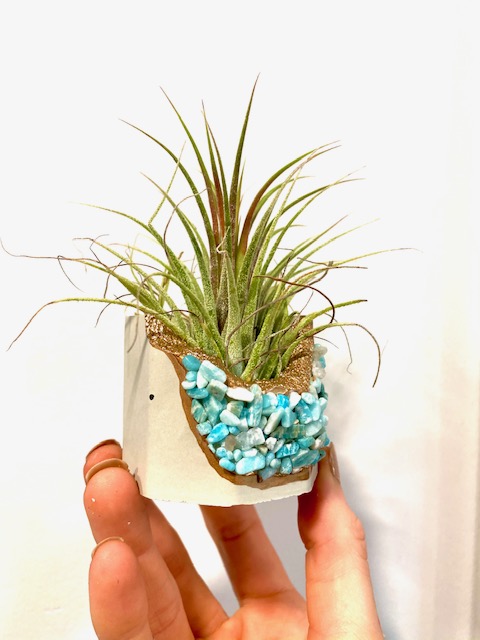 Amazonite Crystal Concrete Planter with Air Plant - Octagon picture