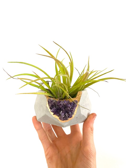 Amethyst Crystal Concrete Planter with Air Plant - Hexagon