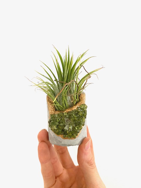Peridot Crystal Concrete Planter with Air Plant - Round
