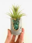 Green Gemstone Geode Concrete Planter with Air Plant - Round