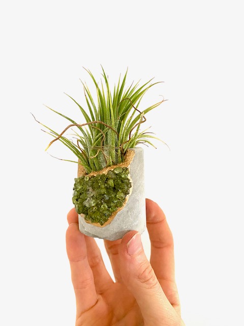 Peridot Crystal Concrete Planter with Air Plant - Round picture