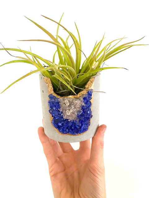 Large Round Crystal Concrete Planter with Blue Gemstones and Rose Quartz Crystals with Air Plant picture