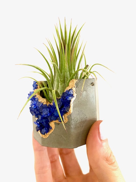 Blue Gemstone Geode Concrete Planter with Air Plant - Octagon picture