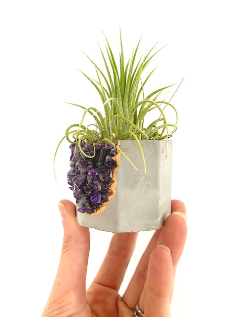 Amethyst Crystal Geode Concrete Planter with Air Plant - Octagon picture