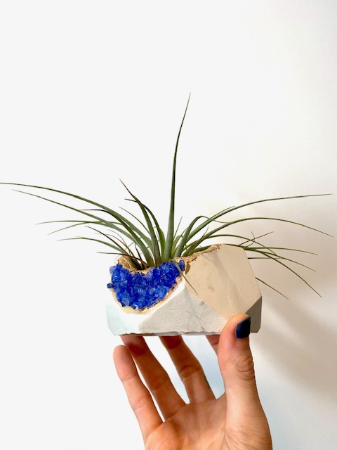 White Geode Planter with Blue Gemstones with Air Plant - Hexagon picture