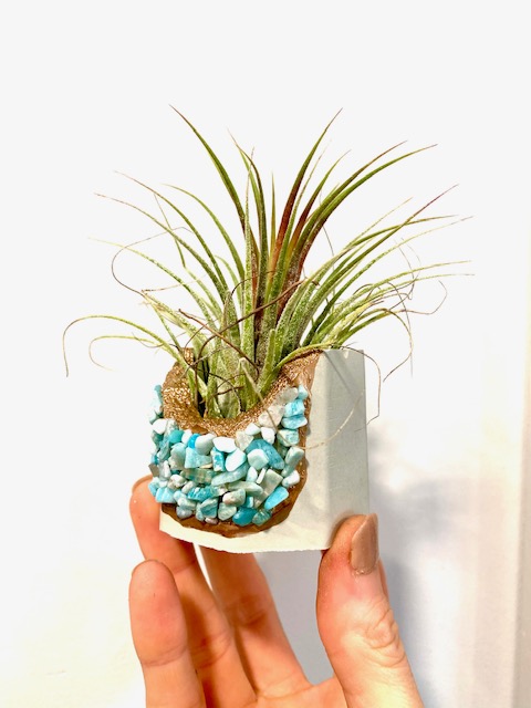 Amazonite Crystal Concrete Planter with Air Plant - Octagon picture