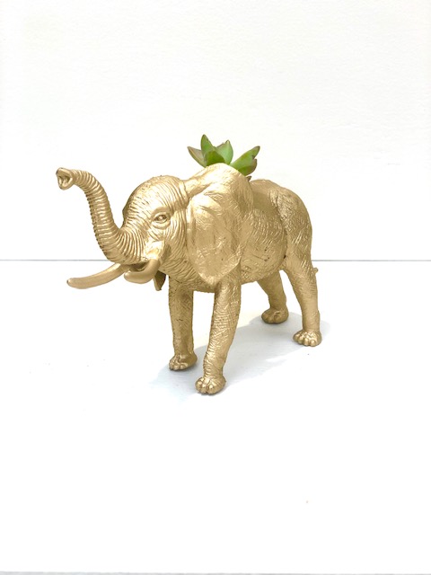 Gold Elephant Succulent Planter picture