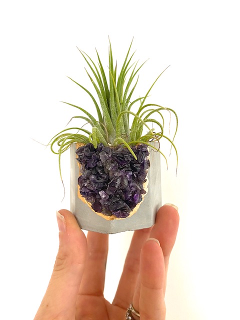 Amethyst Crystal Geode Concrete Planter with Air Plant - Octagon