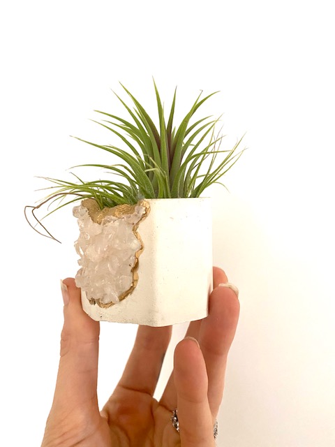 White Rose Quartz Crystal Geode Planter with Air Plant - Octagon picture