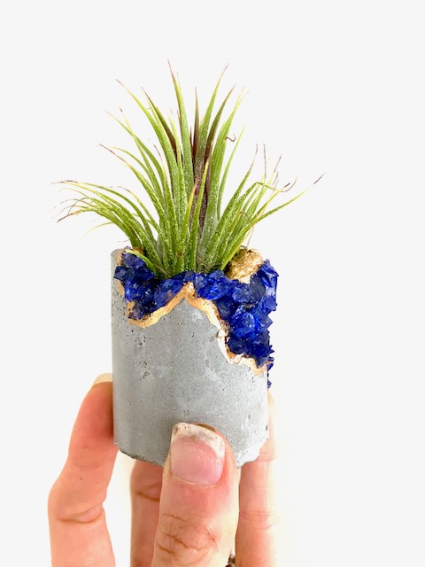 Blue Gemstone Geode Concrete Planter with Air Plant - Round picture