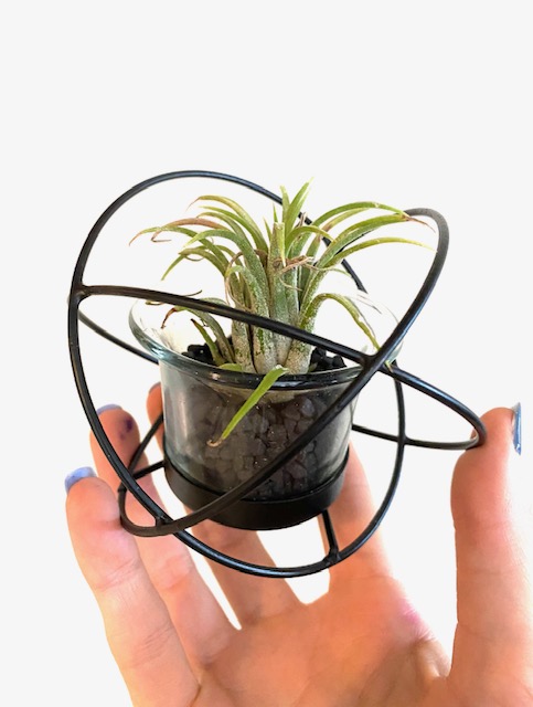 Geometric Air Plant Holder