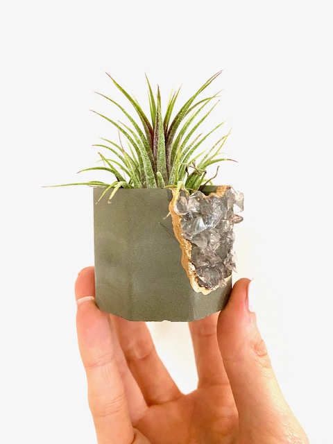 Rose Quartz Crystal Concrete Planter with Air Plant - Octagon picture