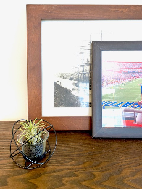 Geometric Air Plant Holder picture