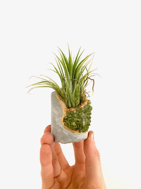 Peridot Crystal Concrete Planter with Air Plant - Round picture