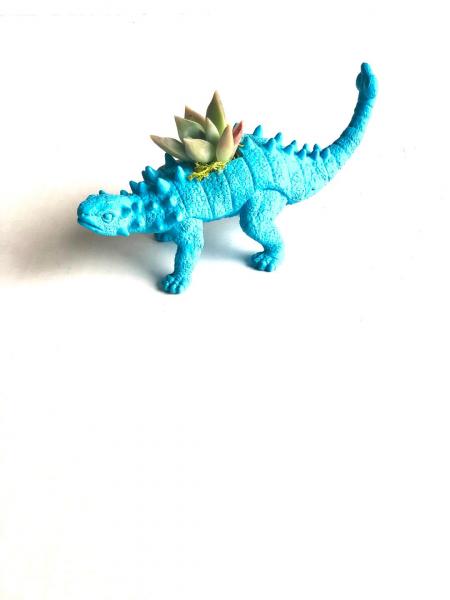 Dinosaur Planter with Succulent- Ankylosaurs - Sky Blue picture