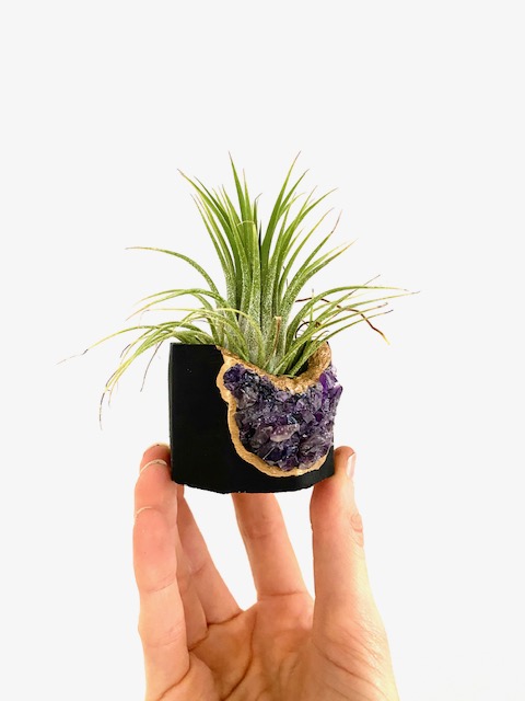 Black Amethyst Crystal Geode Planter with Air Plant - Octagon picture