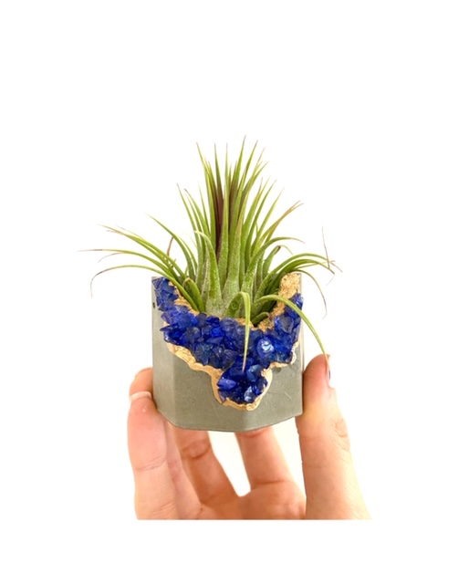 Blue Gemstone Geode Concrete Planter with Air Plant - Octagon picture