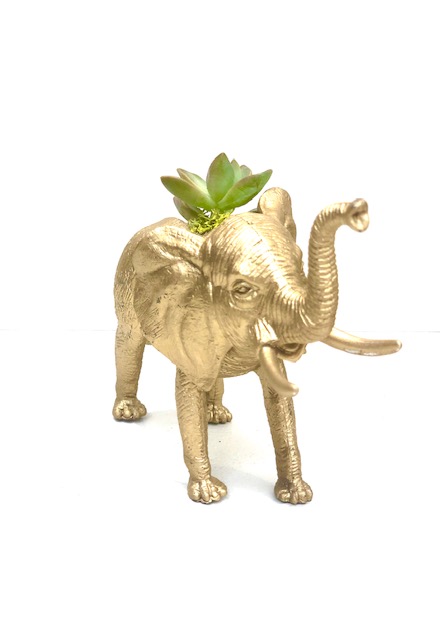 Gold Elephant Succulent Planter picture