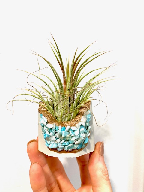 Amazonite Crystal Concrete Planter with Air Plant - Octagon picture