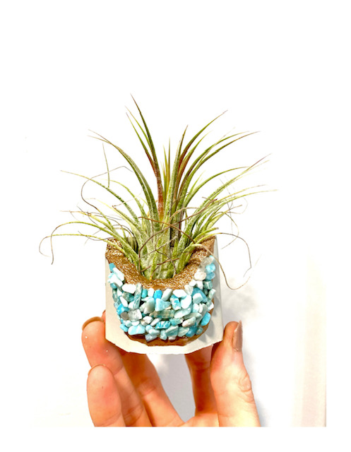 Amazonite Crystal Concrete Planter with Air Plant - Octagon