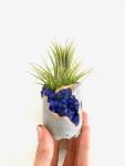 Blue Gemstone Geode Concrete Planter with Air Plant - Round