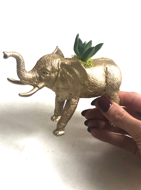 Gold Elephant Succulent Planter picture