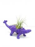 Dinosaur Planter with Air Plant - Stegosaurus