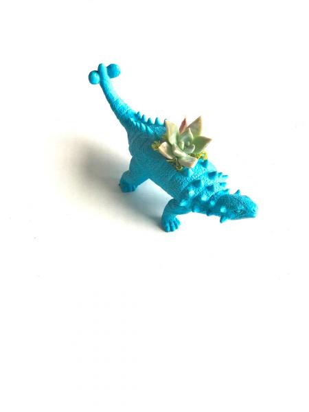 Dinosaur Planter with Succulent- Ankylosaurs - Sky Blue picture