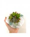 White Quartz Succulent Crystal Planter