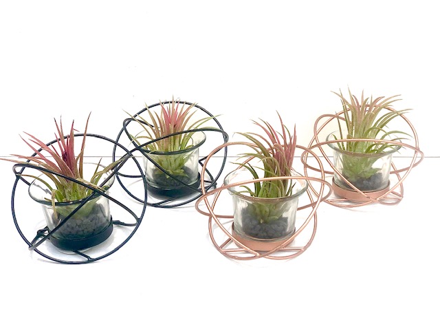 Geometric Air Plant Holder picture