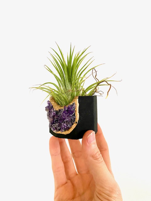 Black Amethyst Crystal Geode Planter with Air Plant - Octagon picture