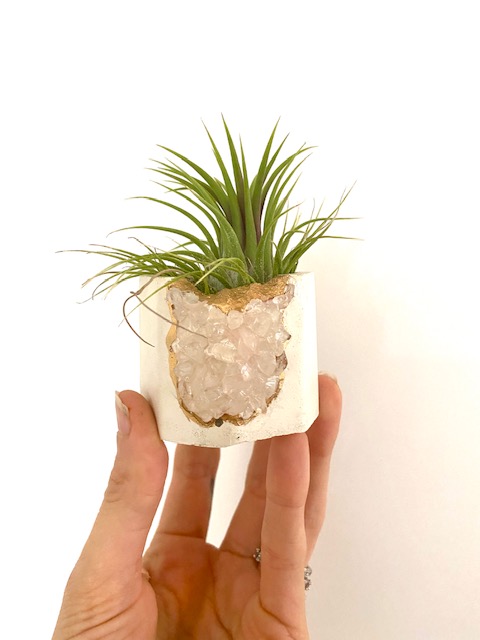 White Rose Quartz Crystal Geode Planter with Air Plant - Octagon