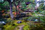 Kyoto Garden