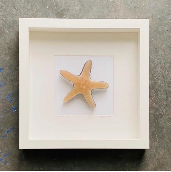 Glass Starfish