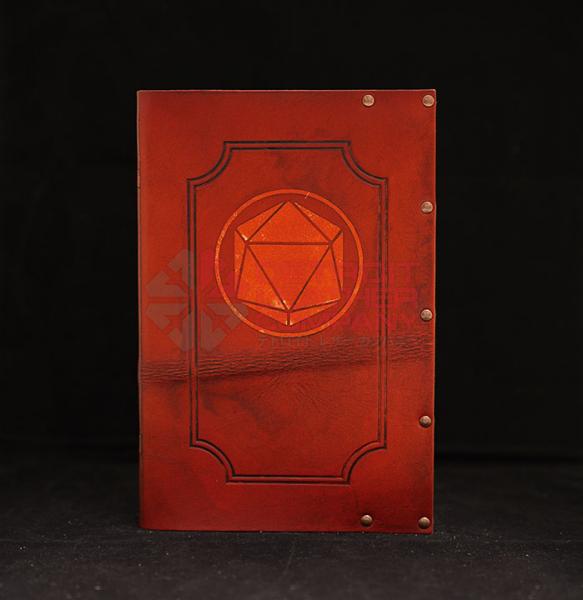 D20 Dice Gaming Book picture