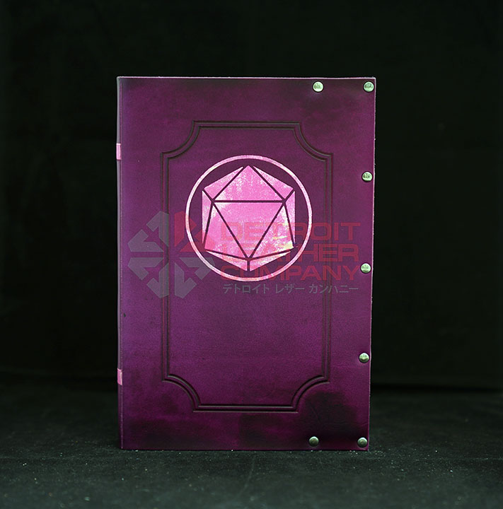 D20 Dice Gaming Book picture