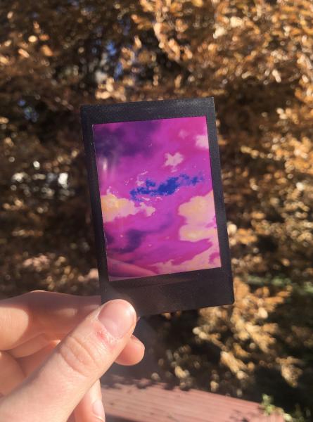 Polaroid Infrared Print- Single picture